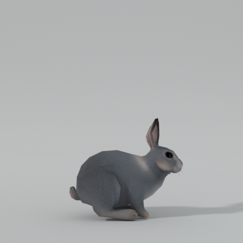 grey rabbit 3D 模型 .c4d .max .obj .3ds .fbx .stl .blend 