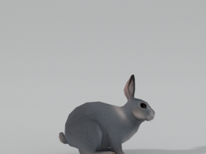 grey rabbit 3D Model