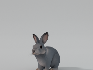 grey rabbit 3D 模型