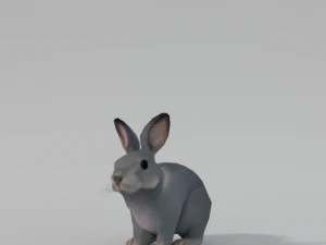 grey rabbit 3D Model