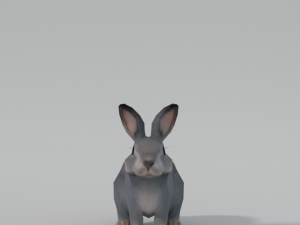 grey rabbit 3D 模型