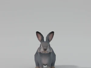 grey rabbit 3D Model