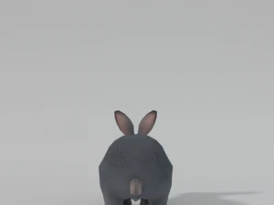 grey rabbit 3D Model