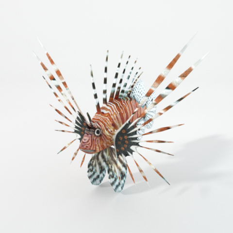 lionfish 3D Model .c4d .max .obj .3ds .fbx .stl .blend 