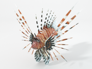 lionfish Modelo 3D