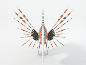 lionfish 3D Model