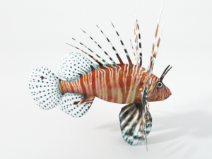 lionfish 3D Model
