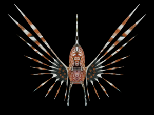 lionfish 3D Model