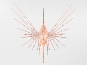 lionfish 3D Model