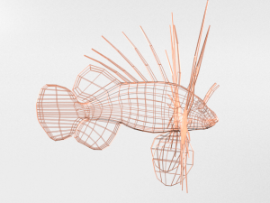lionfish 3D Model