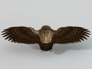 barn owl 3D Модель
