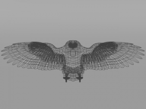 barn owl Model 3D