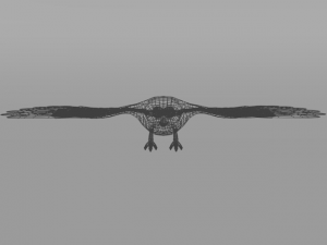 barn owl Model 3D