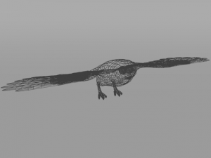 barn owl Model 3D