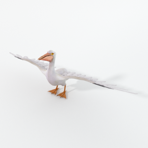pelican 3D 모델 .c4d .max .obj .3ds .fbx .stl .blend