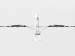 pelican 3D 모델
