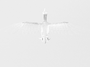 pelican 3D 모델
