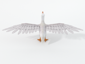 pelican 3D 모델