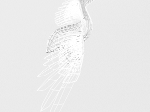 pelican 3D 모델