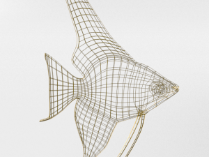 angelfish 3D Model