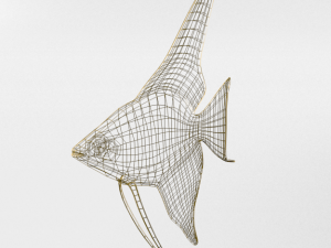 angelfish 3D Model