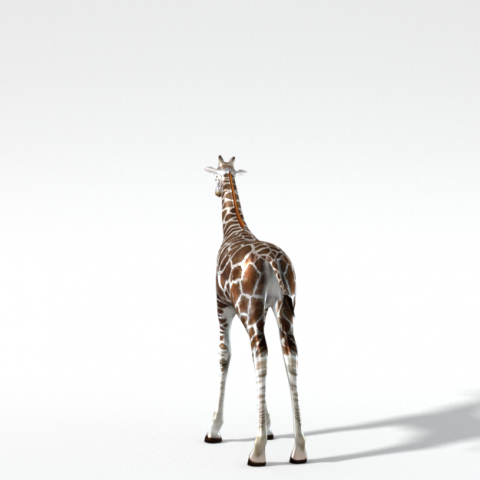 giraffe 3D Model .c4d .max .obj .3ds .fbx .stl .blend 