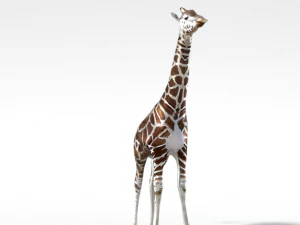 girafa Modelo 3D