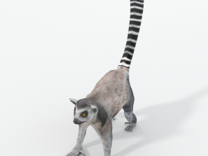 lemur Modelo 3D