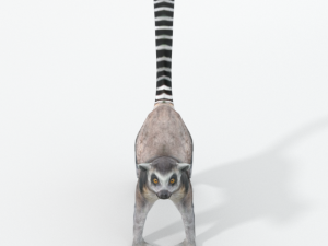 lemur Modelo 3D