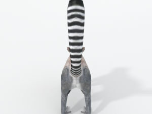 lemur Modelo 3D