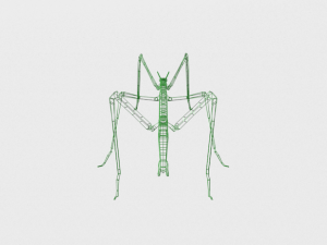 stick insect 3D Модель