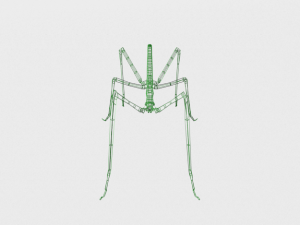 stick insect 3D Модель