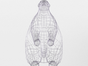polar bear 3D 模型