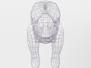 polar bear 3D 模型