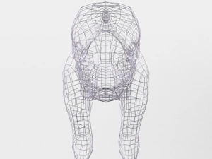 polar bear 3D Model