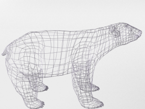 polar bear 3D 模型