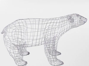 polar bear 3D Model