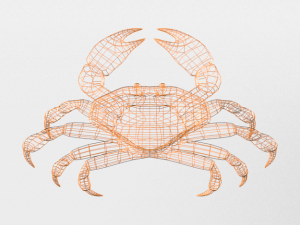 crab crustaceans 3D-Modell