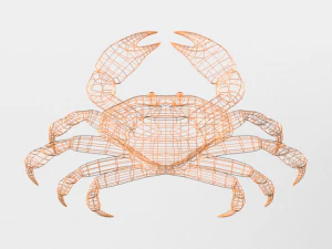 crab crustaceans 3D Model