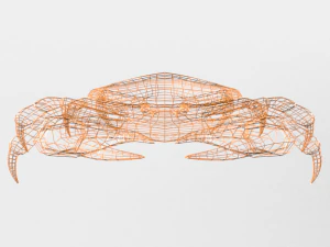 crab crustaceans 3D Model
