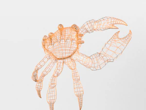 crab crustaceans 3D Model