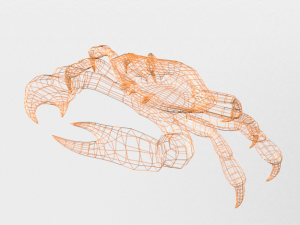 crab crustaceans 3D-Modell