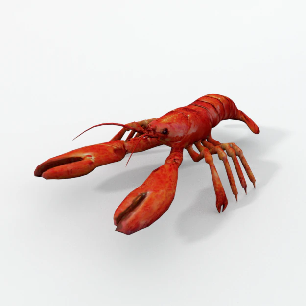 lagosta Modelo 3D .c4d .max .obj .3ds .fbx .stl .blend 