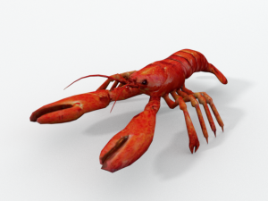 lobster 3D-Modell