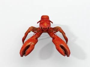 lagosta Modelo 3D