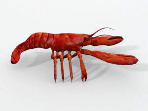 lagosta Modelo 3D