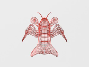 lagosta Modelo 3D