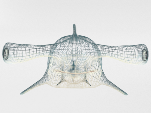 hammerhead shark 3D मॉडल