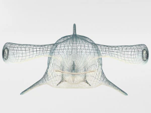 hammerhead shark 3D Model