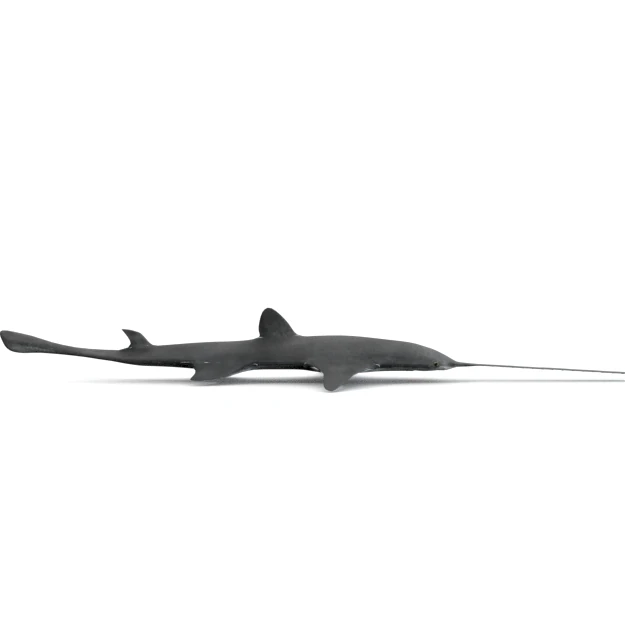 sawshark 3D Model .c4d .max .obj .3ds .fbx .stl .blend 